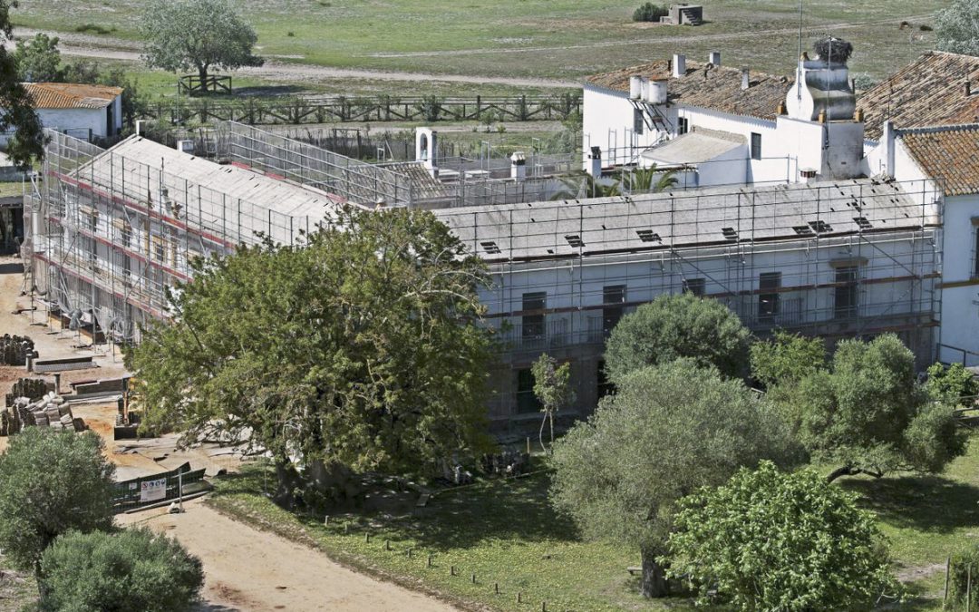 Refuerzo estructural Palacio de Doñana, Huelva